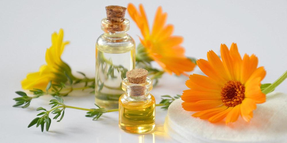 Boutique bio conseils